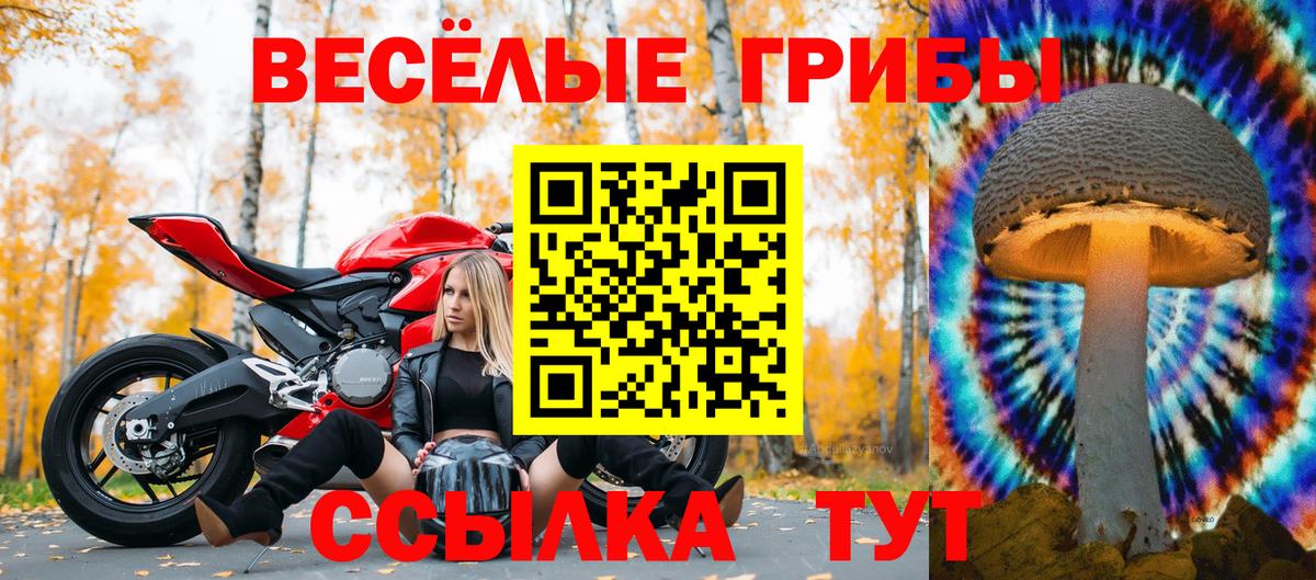 Семёнов  Псилоцибиновые грибы GOLDEN TEACHER  Вход с VPN  купить закладку  Галлюциногенные грибы ЛСД 