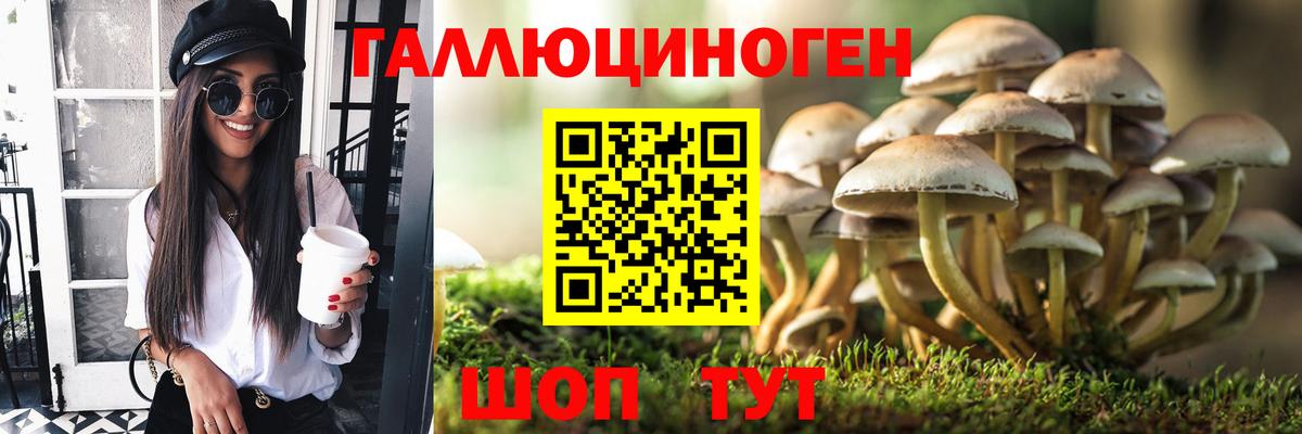 Галлюциногенные грибы Psilocybe Семёнов